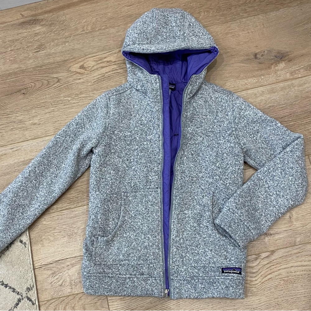 Patagonia Vintage Lined Hooded Better Sweater